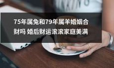 探讨75年属兔和79年属羊婚姻中的财运合适性及婚后财富生态，描绘其家庭幸福美满的可能性！