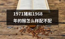1971年猪和1968年猴之间的组合是否匹配合适？