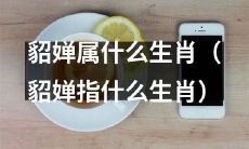 请教一下，根据生肖排列顺序，貂婵属于哪个生肖？