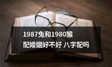 1987年属兔与1980年属猴姻缘如何？ 能否通过八字配对找到完美的配偶？