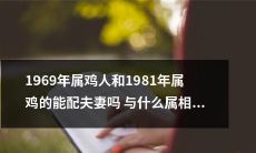属鸡人1969年和属鸡人1981年是否适合成为夫妻？并探究属鼠、属虎、属蛇等何种属相更加适配