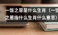 什么生肖代表着“一饭之恩”，该生肖所代表的意义是什么？