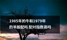在配对指数方面，1985年的牛和1979年的羊是否具备完美匹配？