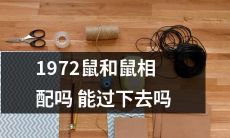 1972年出生的人和鼠年生肖的人是否适合匹配在一起，他们的关系是否能持续下去？