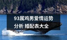 一份详尽的93年属鸡男爱情运势分析婚配表大全，包含细节方案与展望