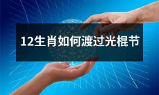 探究12生肖在光棍节期间如何度过愉悦而充实的时光