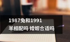 1987年出生的兔和1991年出生的羊是否适合结婚？他们的婚姻是否合适？