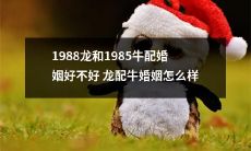 如何评价1988年出生的龙和1985年出生的牛之间的婚姻是否合适，牛和龙的婚姻如何呢？