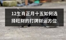 十二生肖如何通过选择打牌财运方位来提高财运，在正月十五收获旺财？