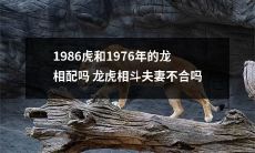 虎与龙：1986年和1976年出生的人是否适合在一起？是否存在龙虎相斗导致夫妻不合的风险？