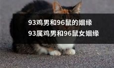 愉快的绝配：怎样93属鸡男和96年鼠女走进美好的姻缘之路