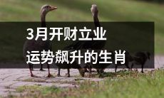 3月财运昌盛，事业蒸蒸日上，运势飙升！以下是12生肖中，运势最为亮眼的几位！