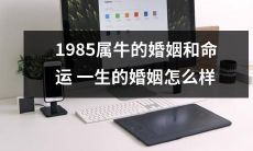 1985年出生的属牛人的婚姻与命运：探究一生的婚姻境况如何？