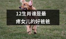 哪个12生肖男性在女儿眼中最令人感到温暖与亲切，成为女儿的最爱和疼爱的好爸爸？