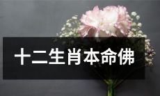 深度解析：根据出生年份选择的十二生肖本命佛，揭示你的命运和人生道路