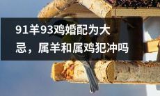 属羊和属鸡的人婚配被视为大忌，但是否真的存在冲突？寻求答案！