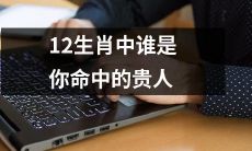 根据12生肖，哪位动物代表你的命运之贵人？