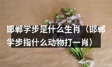 邯郸学步所代表的生肖是什么？（以邯郸学步指代的动物作为一个生肖的象征）
