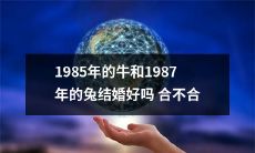 逐字解释：1985年的牛和1987年的兔结婚是否合适或适宜？