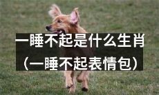 十二生肖中哪个动物爱睡懒觉到一睡不起并演变成表情包？