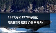 1987年的兔和1978年的马:他们的婚姻是否会幸福?深度分析他们的星座特性和个性差异