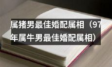 97年属牛男与属猪女，最受婚姻星座指南推荐的黄道配对