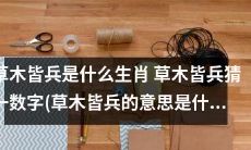 “草木皆兵”这个谚语与生肖的关系是什么？猜猜数字来揭示“草木皆兵”的生肖含义！