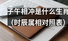 光阴如梭，时光飞逝，你知道哪些属相在子午相冲吗？（从时辰属相对照表角度出发的改写）