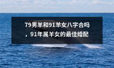 79年属羊男与91年属羊女的八字配对合适吗？如何找到91年属羊女的最佳婚姻伴侣？