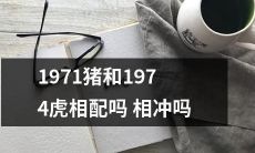 1971年出生的猪和1974年出生的虎，它们的生肖组合是否相配？是否存在相冲？