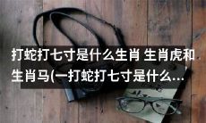 探究生肖虎和生肖马的传统智慧：揭秘打蛇打七寸的生肖身份