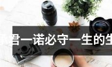 十二生肖：忠诚承诺一生守护您的信仰与荣誉