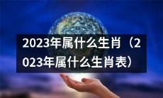 查看2023年出生的人属于哪个生肖(2023年出生人的生肖)