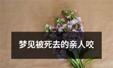 了一口，是什么意义？- 作梦经历：亲人死而复生并咬我一口，背后的象征意义是什么？