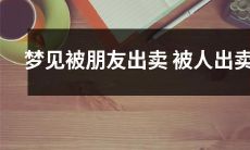 被朋友出卖而惊醒的梦境：关于信任先天性缺失和人际关系纷争的探讨