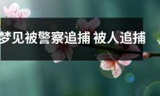 在梦中遭遇警方追捕以及神秘人追逐的不安之旅