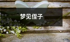 在深夜梦境中与可爱侄子相遇：迷离幻境中的奇妙体验