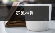 在梦中遇到亚伯拉罕·林肯：一个关于梦境中历史人物出现的体验分享