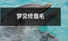 做梦梦见自己修剪眉毛，如同专业美容师一般，细致入微，把握好每一根眉毛，让眉形更加完美，一场视觉盛宴的梦境！