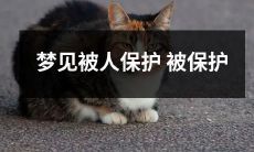 梦中遇到保护者,沐浴关爱与呵护之下,身心得到全方位保障的奇幻体验