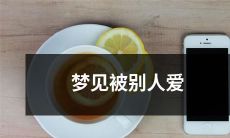 的含义是什么？这个梦境展示了什么样的情感关系与自我认知？