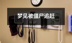 如何解读梦中被僵尸追赶的经历并探讨其可能的象征意义？