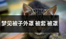 在梦中看到自己被子外罩被套被罩的场景:神秘启示还是简单的心理暗示?