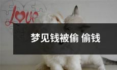 梦中遭遇钱财盗窃，不知所终的恐惧和焦虑体验