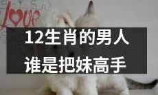 谁是12生肖中最擅长追女孩的男人?
