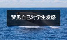 在梦中经历的场景：我作为一名老师，情绪失控地对学生发怒