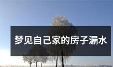 今夜梦见自己亲戚家的房子，无情的漏水不止，仿佛预示着某些不详生活困扰或财务问题的降临？