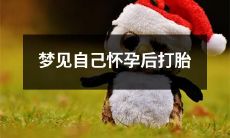 如何解读梦中意外怀孕并面临选项——是选择继续孕育还是择日打胎,你会怎么选?