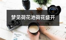 做梦梦见荷花池，满池繁花绽放，美不胜收的奇景令人陶醉！