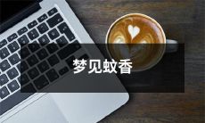 燃烧的夜晚，我梦见了一根细长的蚊香，在微弱的光线里散发着淡淡的香气，引起了我很多不同的联想和感觉